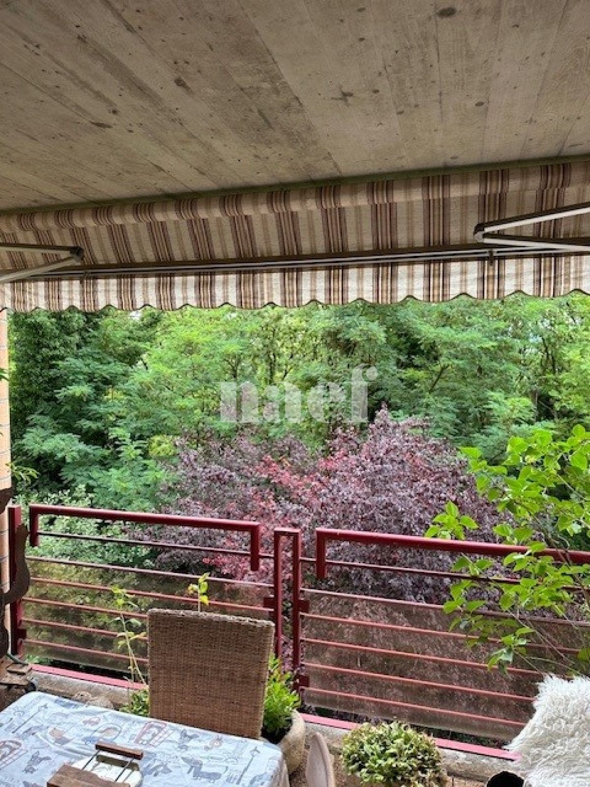 À louer : Appartement 4.5 Pieces Pully - Ref : 224334.1011 | Naef Immobilier