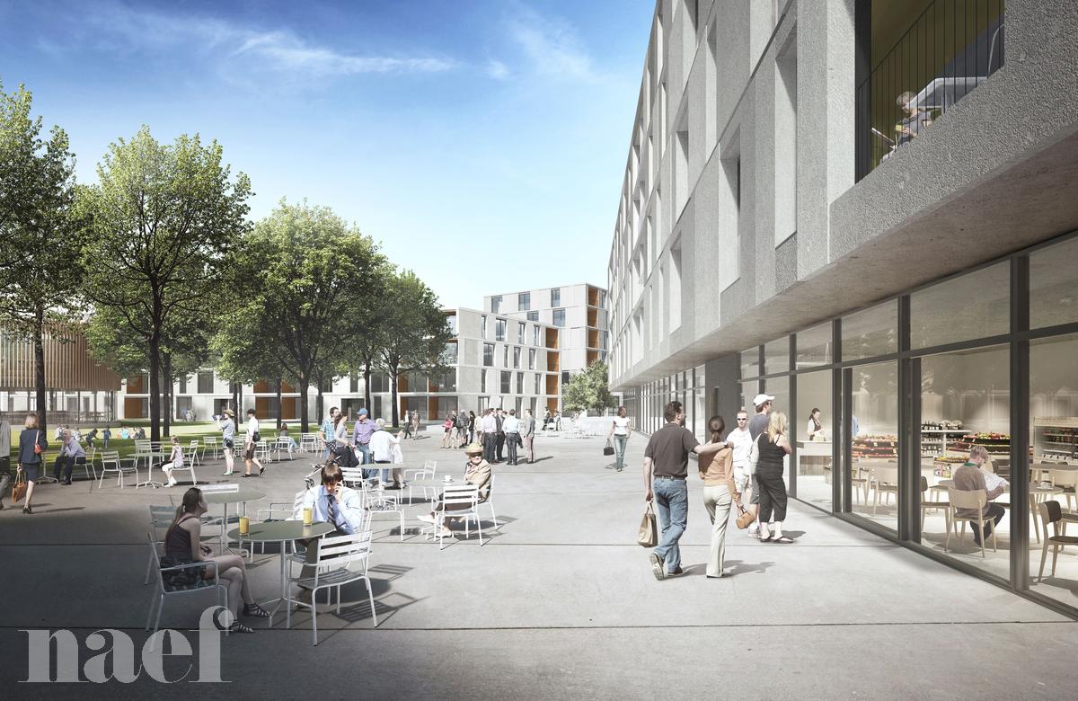 À louer : Appartement 3.5 Pieces Crissier - Ref : 224386.3001 | Naef Immobilier