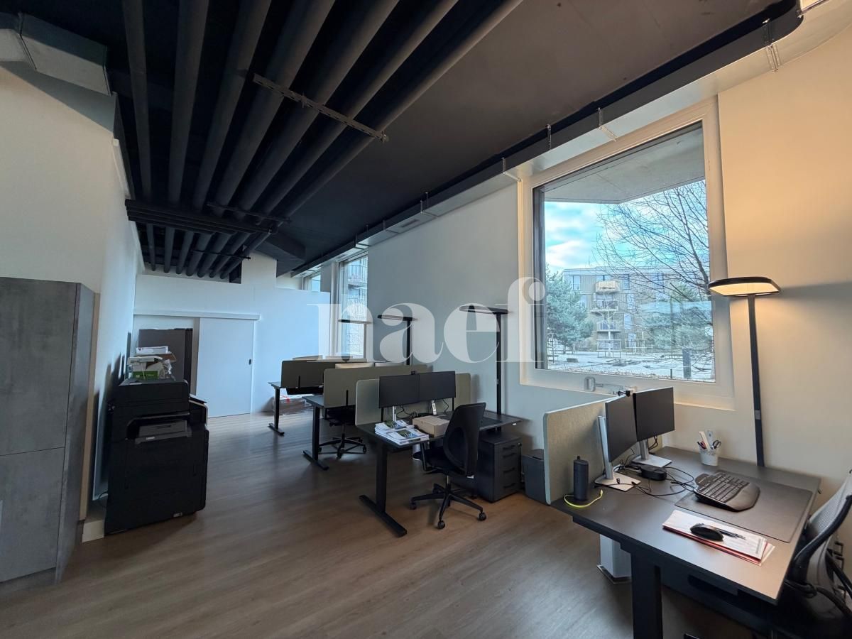 À louer : Surface Commerciale Bureau Crissier - Ref : 224387.1 | Naef Immobilier
