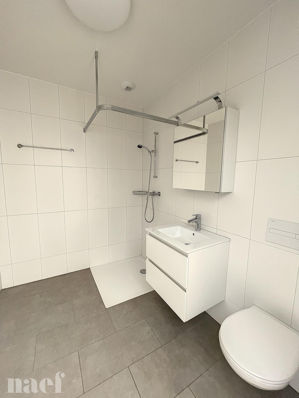À louer : Appartement 1.5 Pieces Crissier - Ref : 224389.4002 | Naef Immobilier