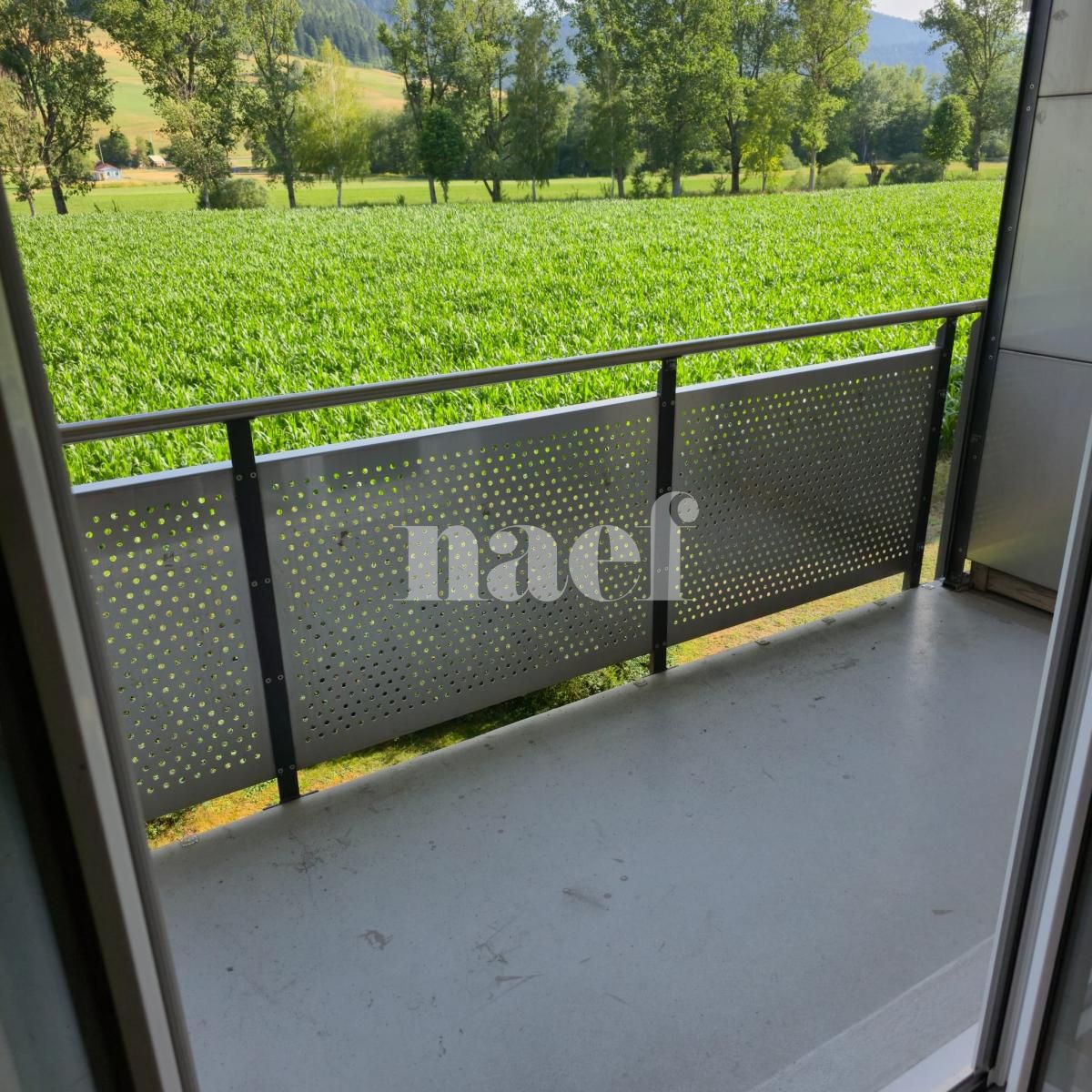 À louer : Appartement 3 Pieces Couvet - Ref : 229109.1003 | Naef Immobilier