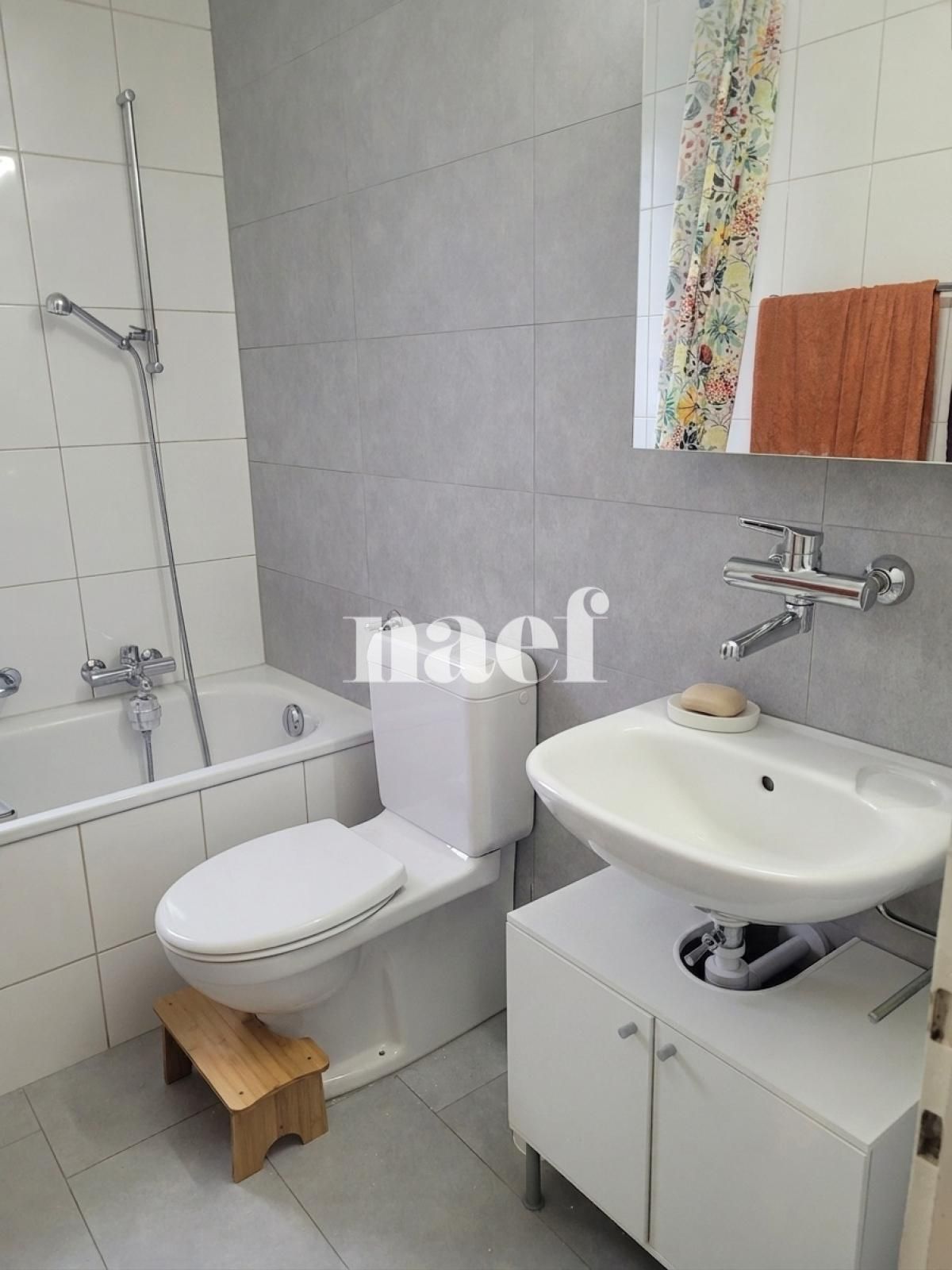 À louer : Appartement 3 Pieces Couvet - Ref : 229109.3 | Naef Immobilier