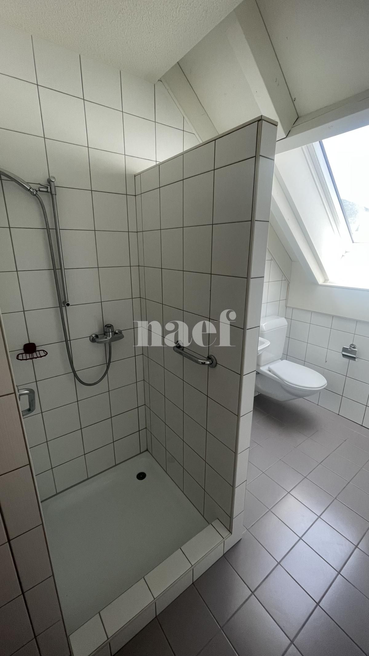 À louer : Appartement 5.5 Pieces Couvet - Ref : 229111.3001 | Naef Immobilier