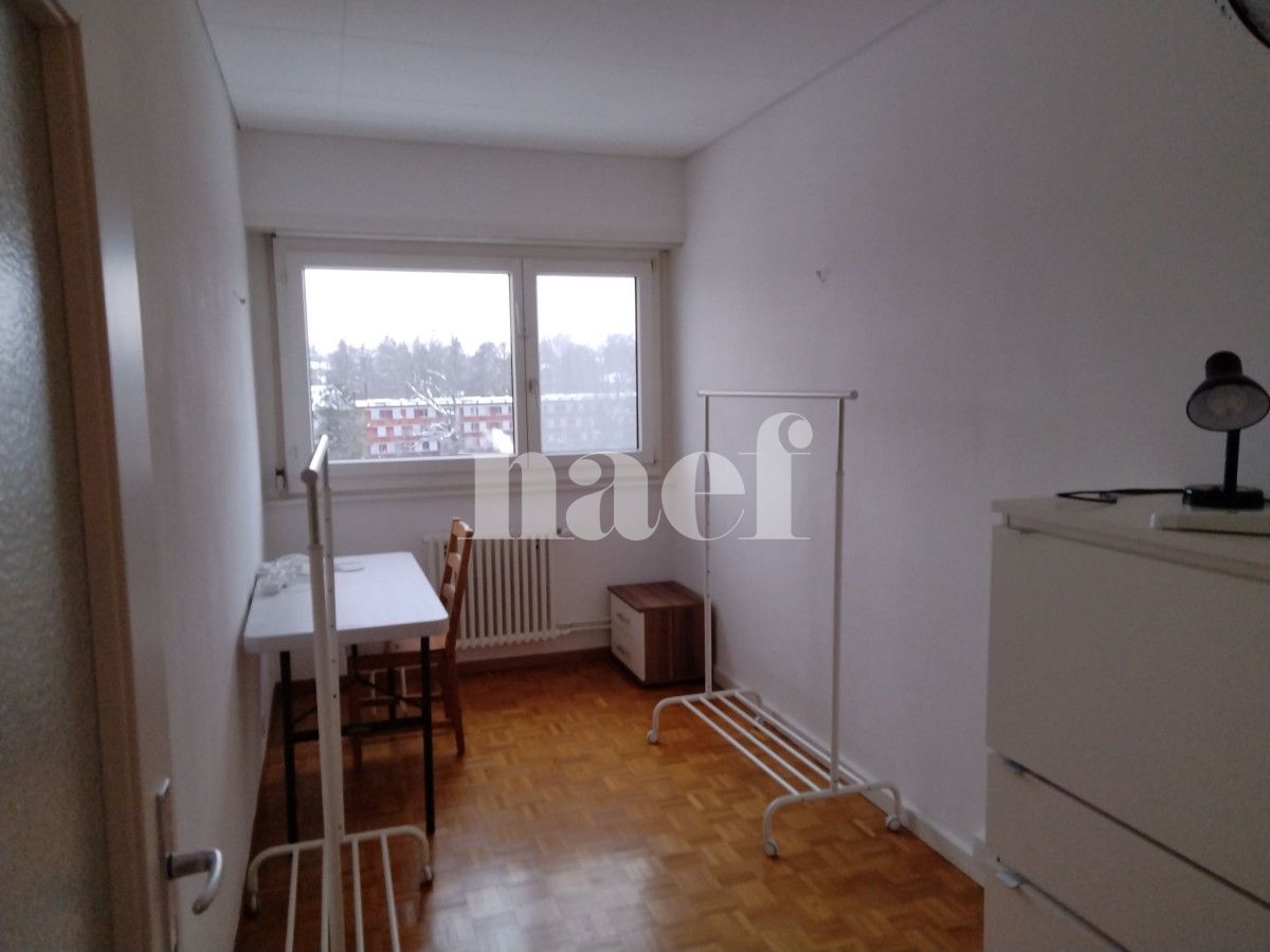 À louer : Appartement 5 Pieces Versoix - Ref : 232045.8001 | Naef Immobilier