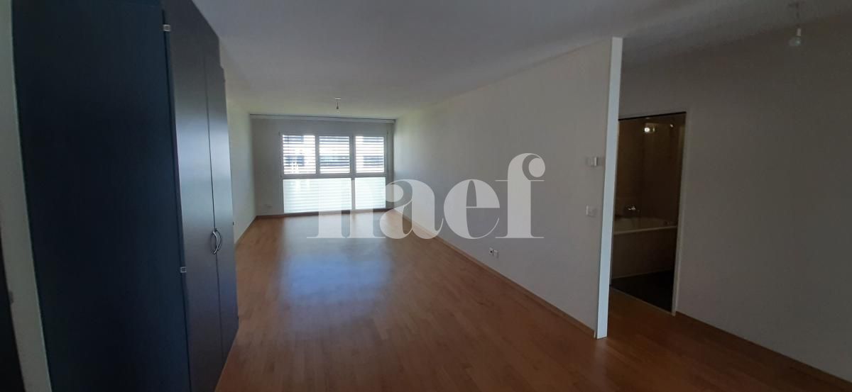 À louer : Appartement 5 Pieces Petit-Lancy - Ref : 232086.3001 | Naef Immobilier