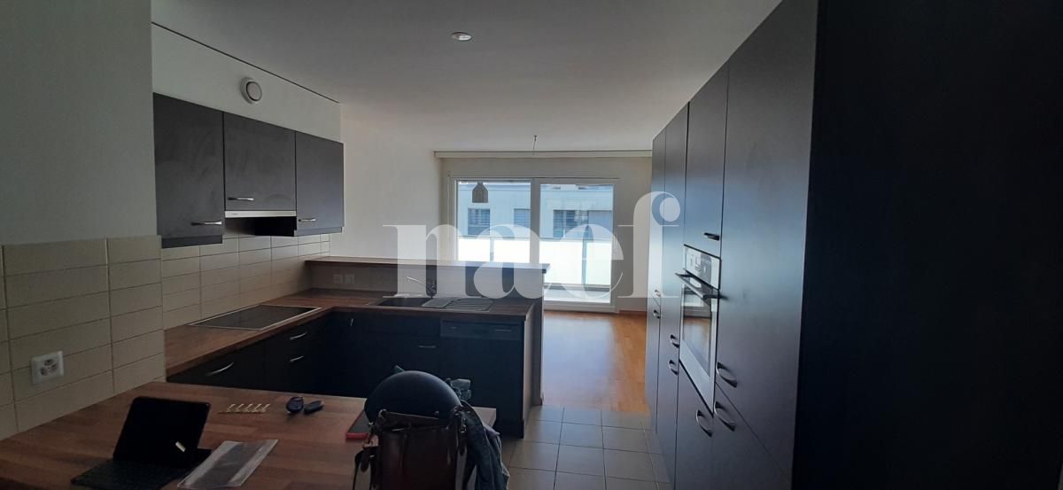 À louer : Appartement 5 Pieces Petit-Lancy - Ref : 232086.3001 | Naef Immobilier