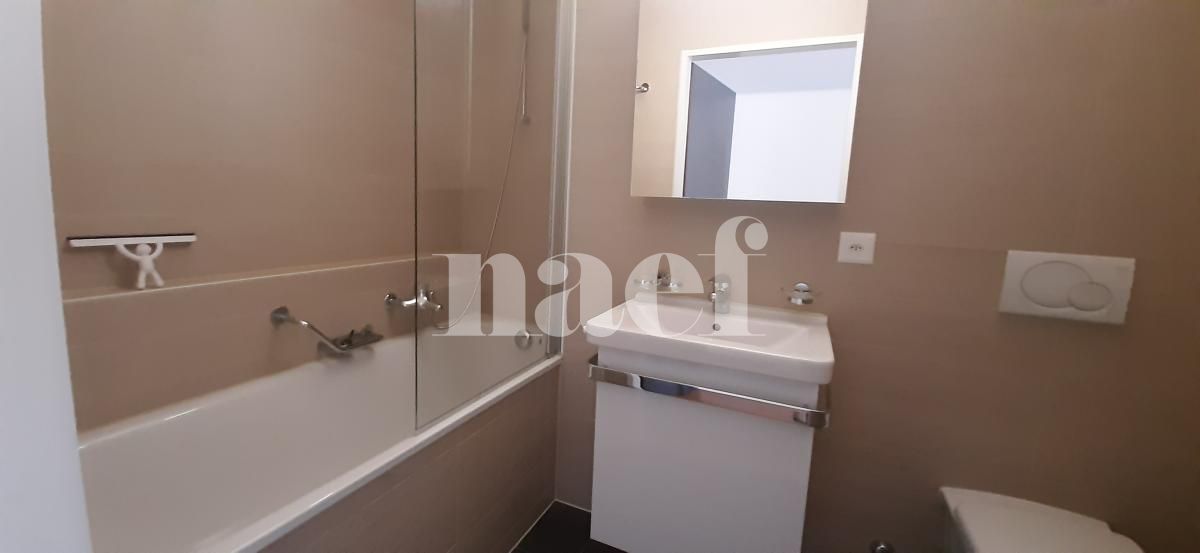 À louer : Appartement 5 Pieces Petit-Lancy - Ref : 232086.3001 | Naef Immobilier