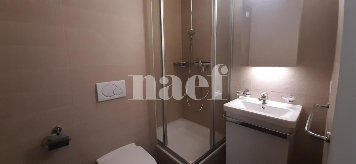 À louer : Appartement 5 Pieces Petit-Lancy - Ref : 232086.3001 | Naef Immobilier