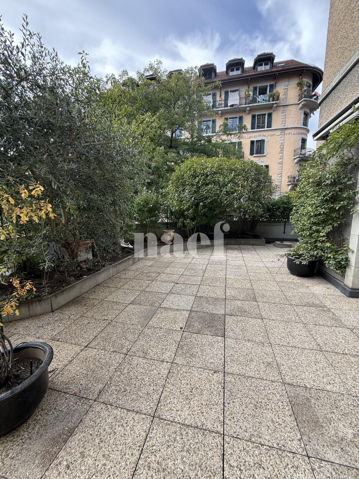 À louer : Appartement 5 Pieces Genève - Ref : 242009.2 | Naef Immobilier