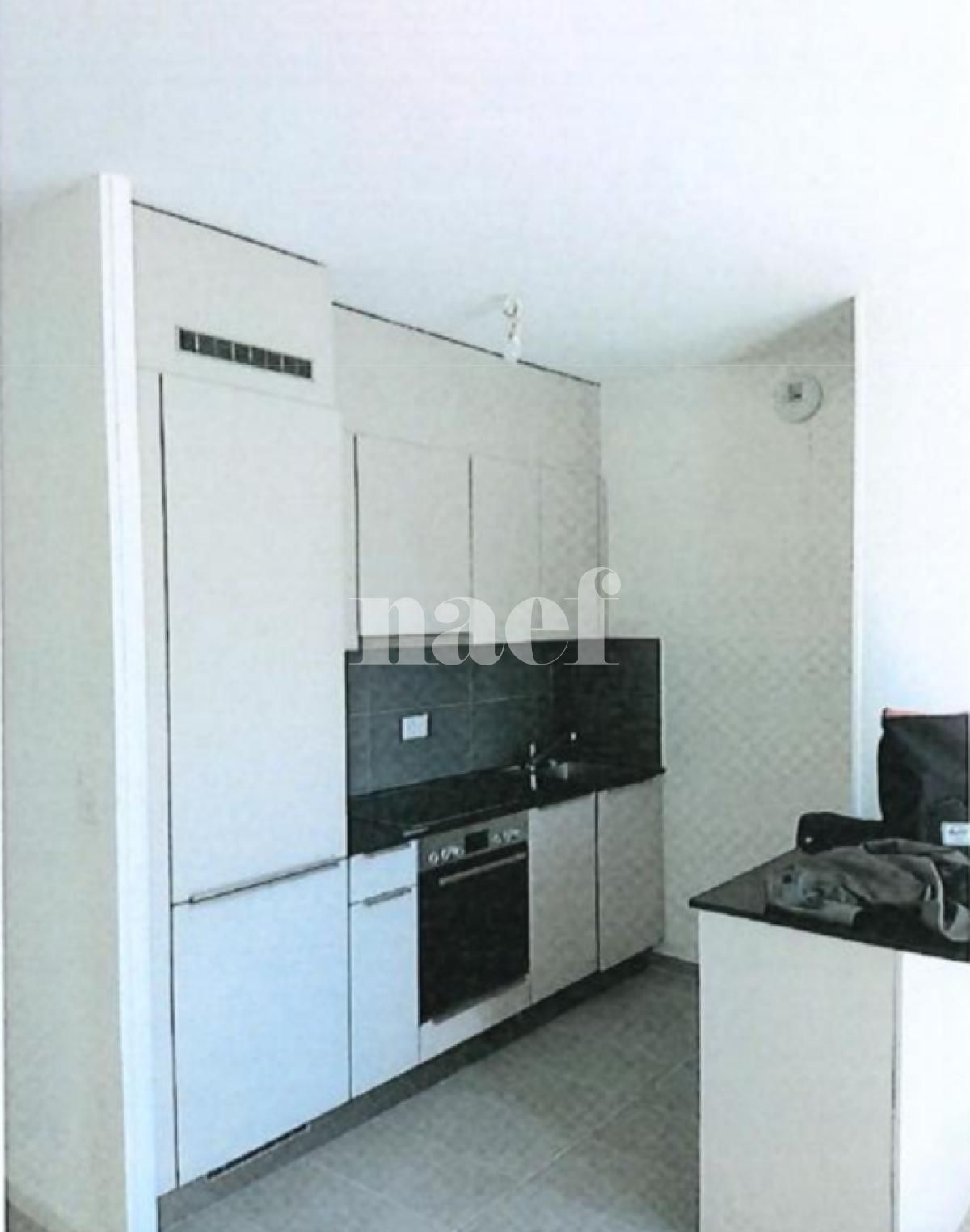À louer : Appartement 2 Pieces Genève - Ref : 242053.3002 | Naef Immobilier