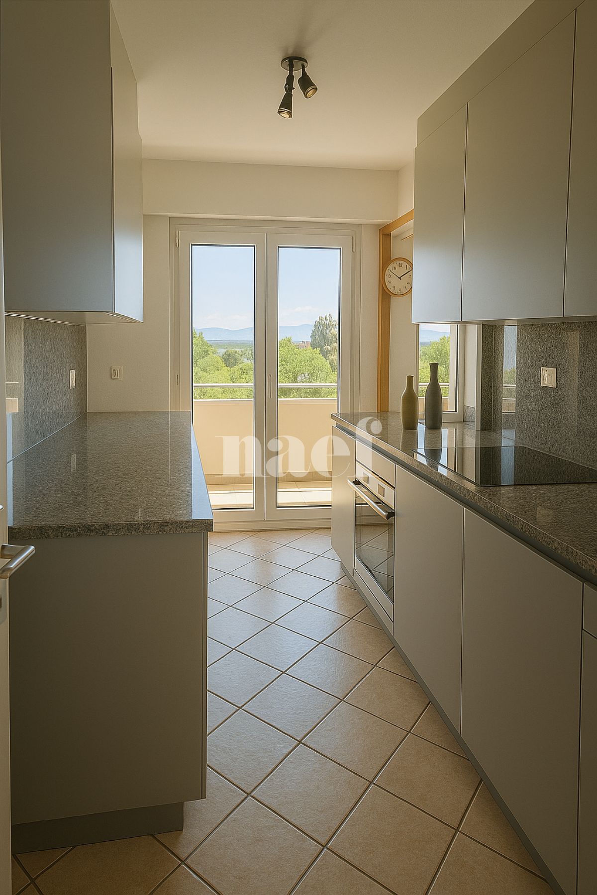 À louer : Appartement 5 Pieces Versoix - Ref : 251041.3052 | Naef Immobilier