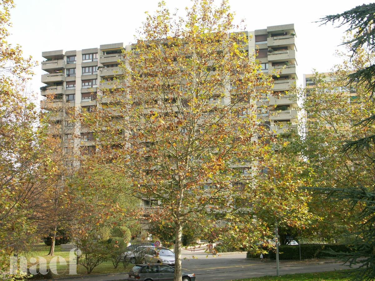 À louer : Appartement 4 Pieces Meyrin - Ref : 252077.2022 | Naef Immobilier