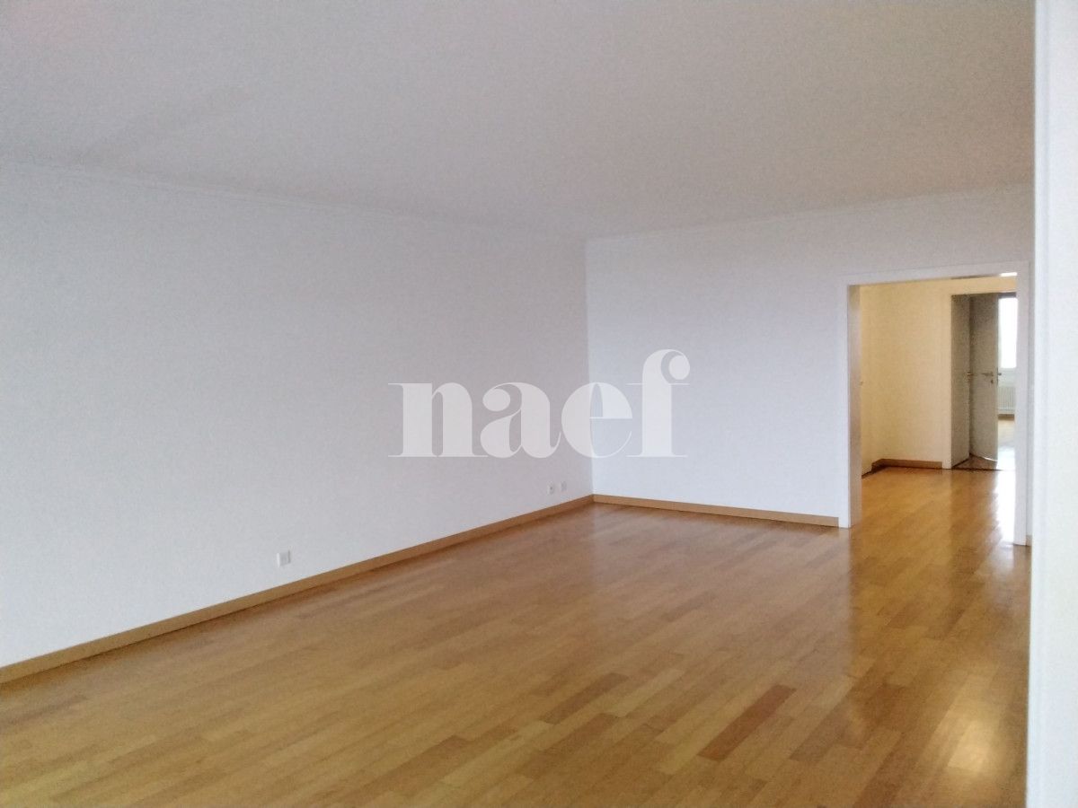 À louer : Appartement 4.5 Pieces Genève - Ref : 252880.10102 | Naef Immobilier