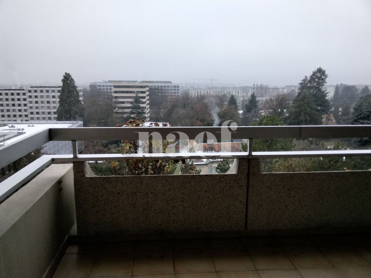 À louer : Appartement 4.5 Pieces Genève - Ref : 252880.10102 | Naef Immobilier