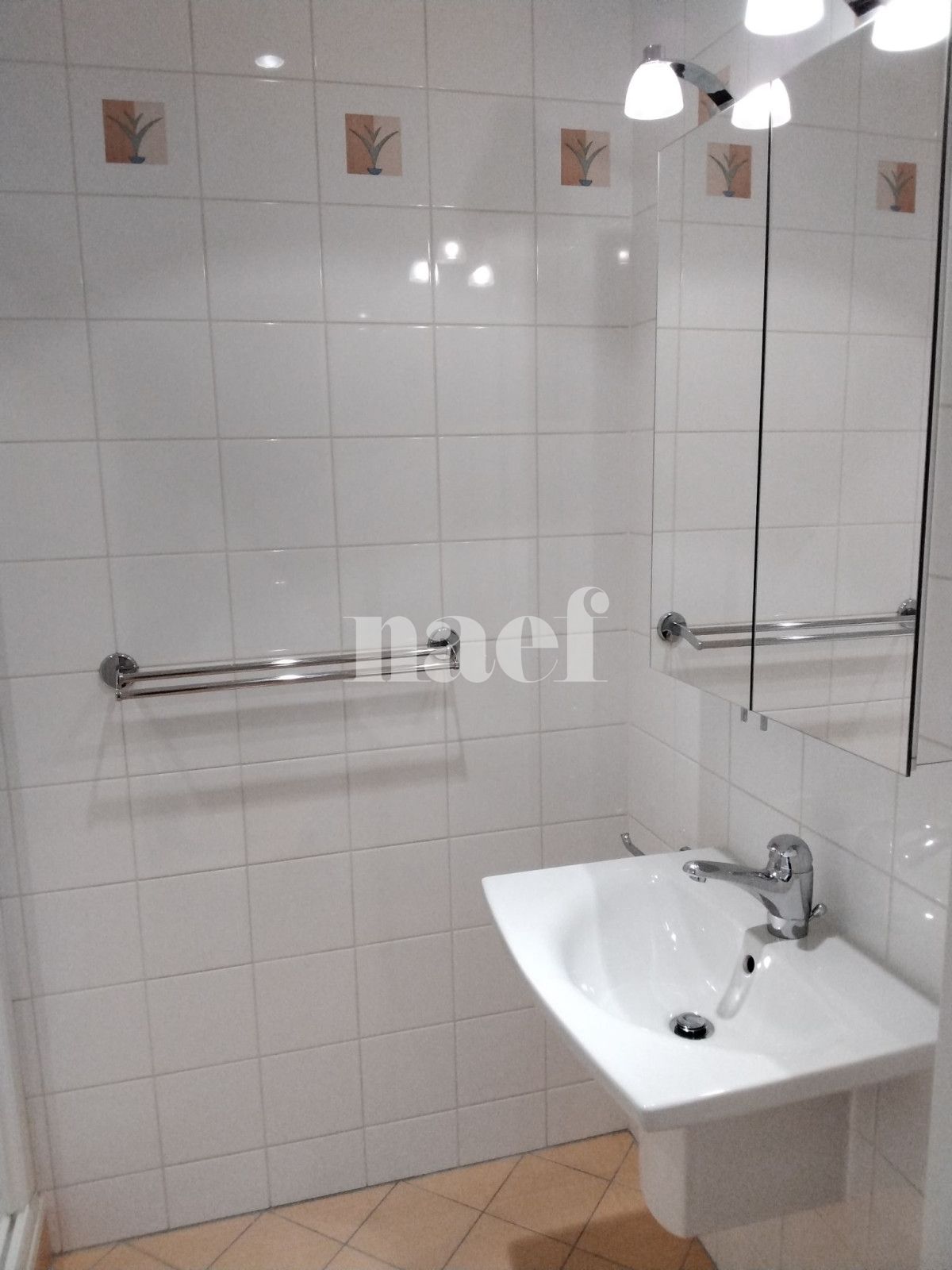 À louer : Appartement 4.5 Pieces Genève - Ref : 252880.10102 | Naef Immobilier