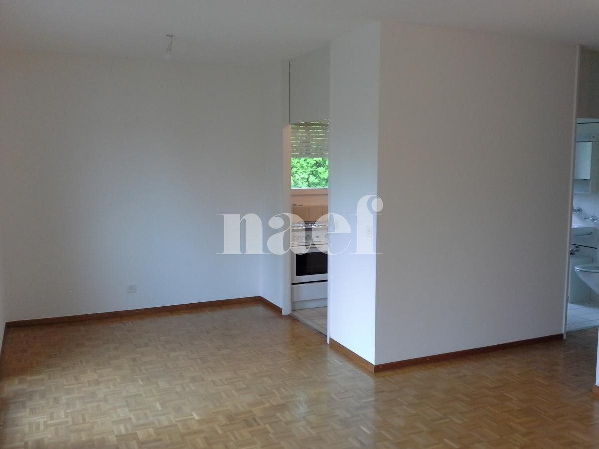 À louer : Appartement 2 Pieces Thonex - Ref : 255090.2721 | Naef Immobilier