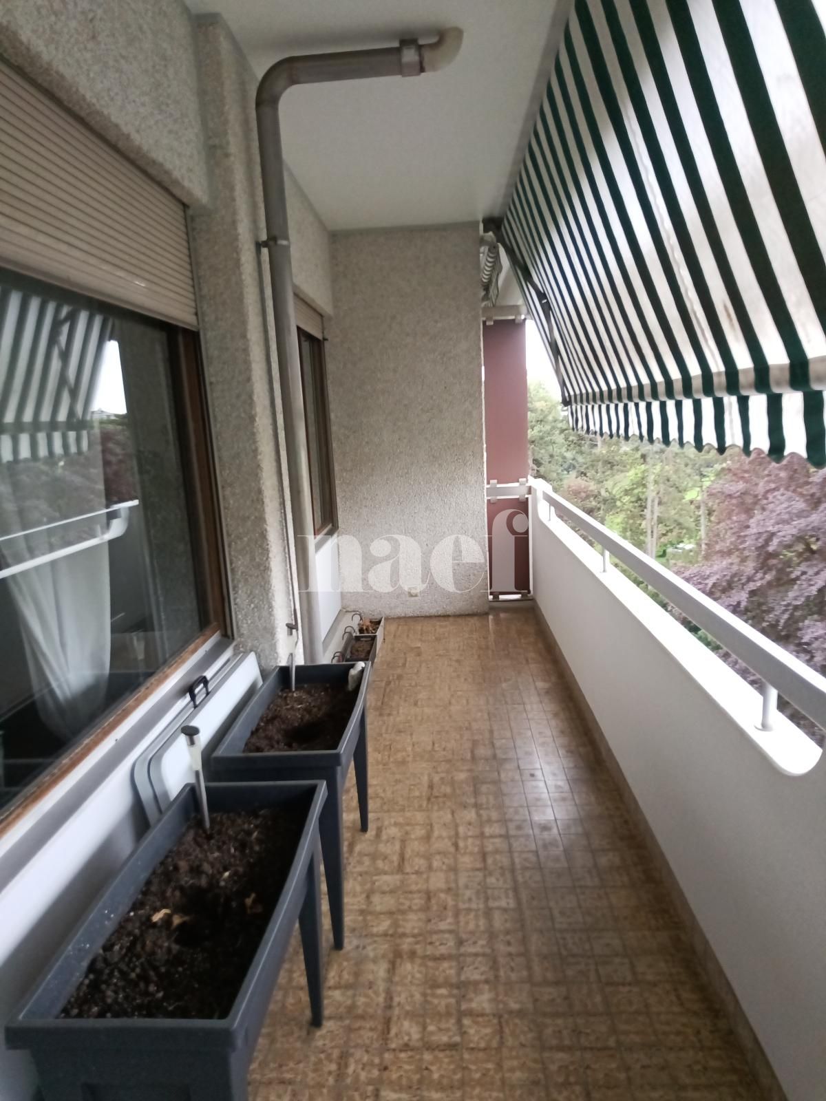 À louer : Appartement 6 Pieces Genève - Ref : 256412.7001 | Naef Immobilier