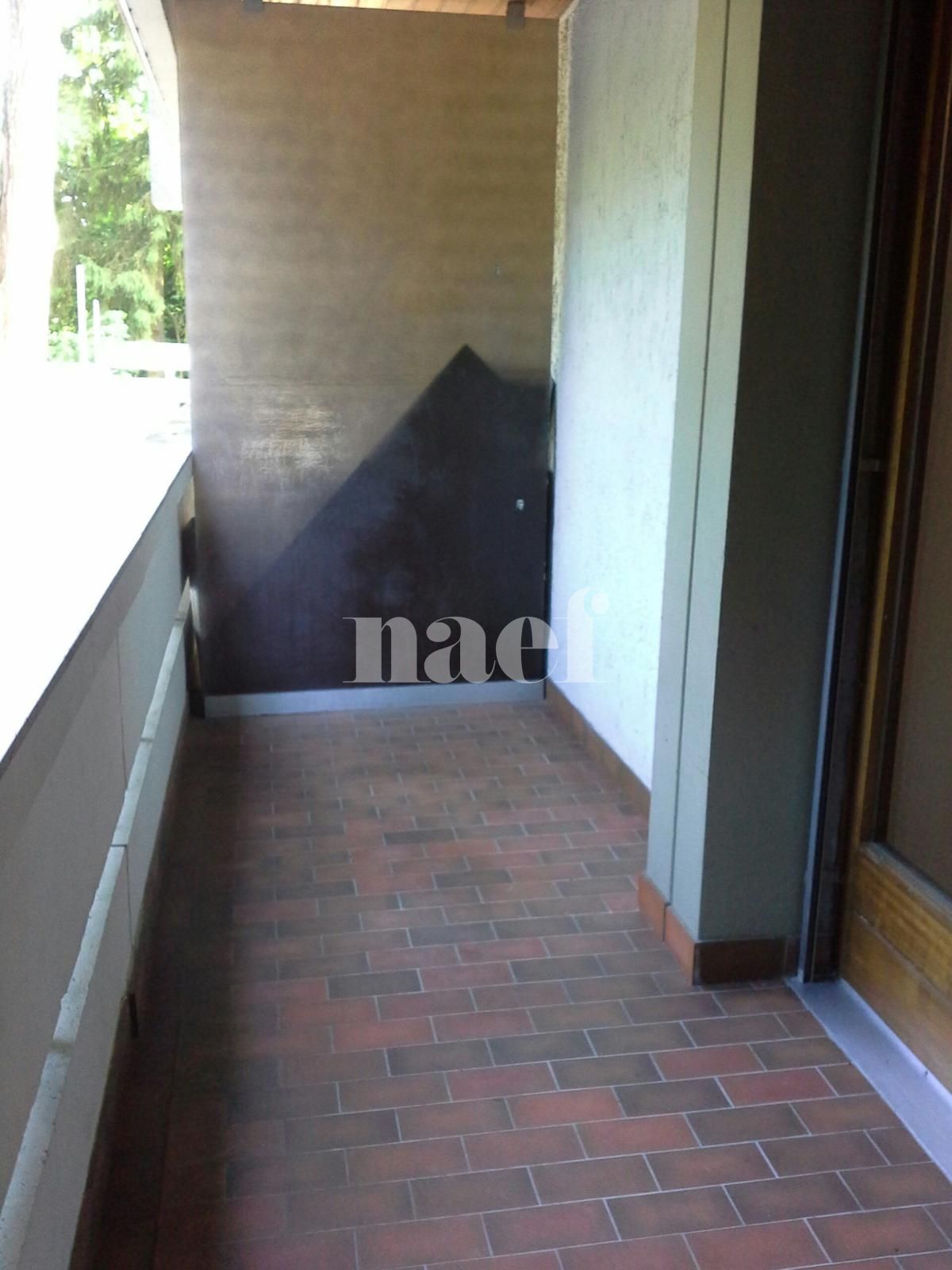 À louer : Appartement 1 Pieces Genève - Ref : 259101.1041 | Naef Immobilier