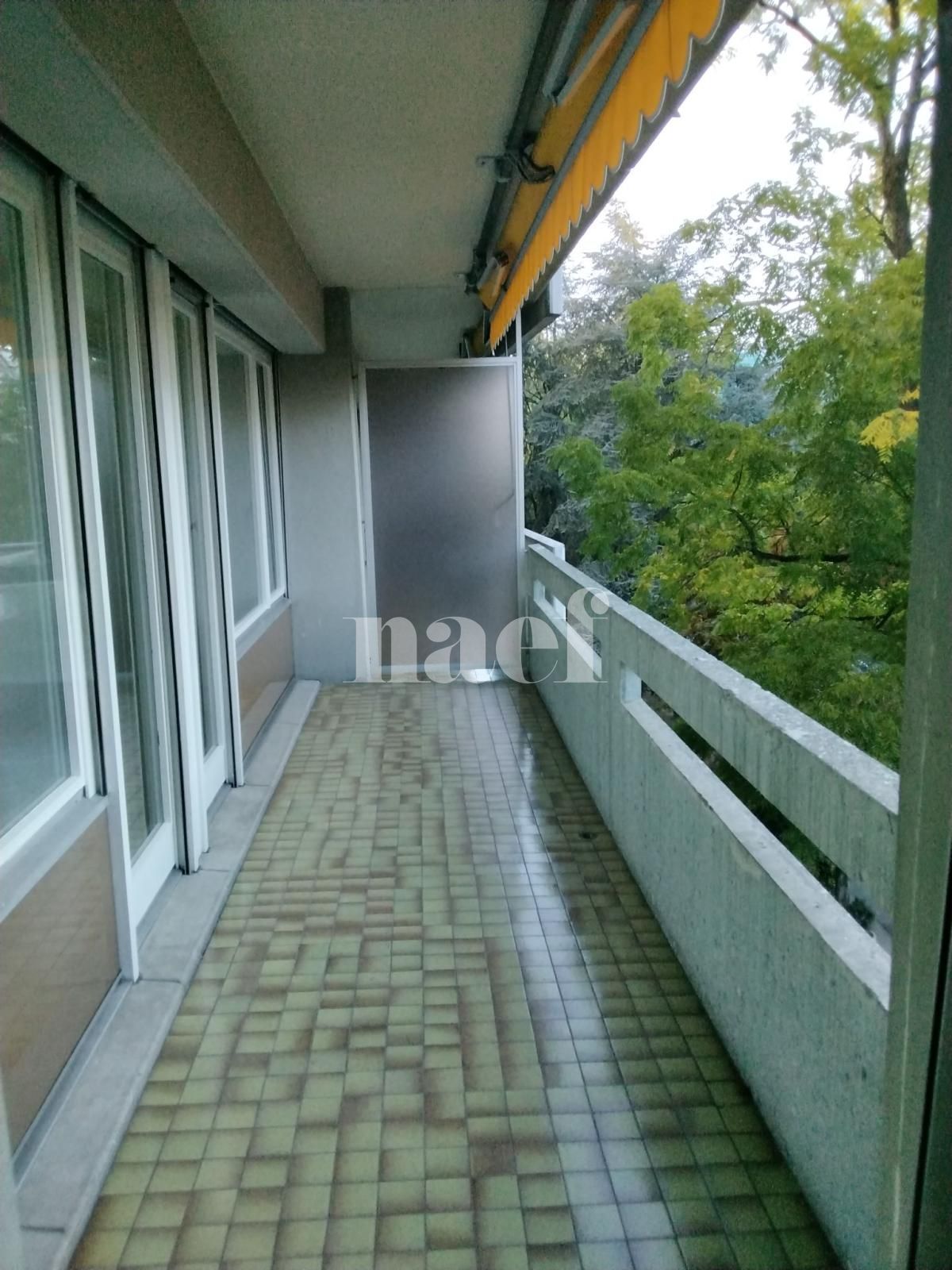 À louer : Appartement 4 Pieces Genève - Ref : 259114.4043 | Naef Immobilier