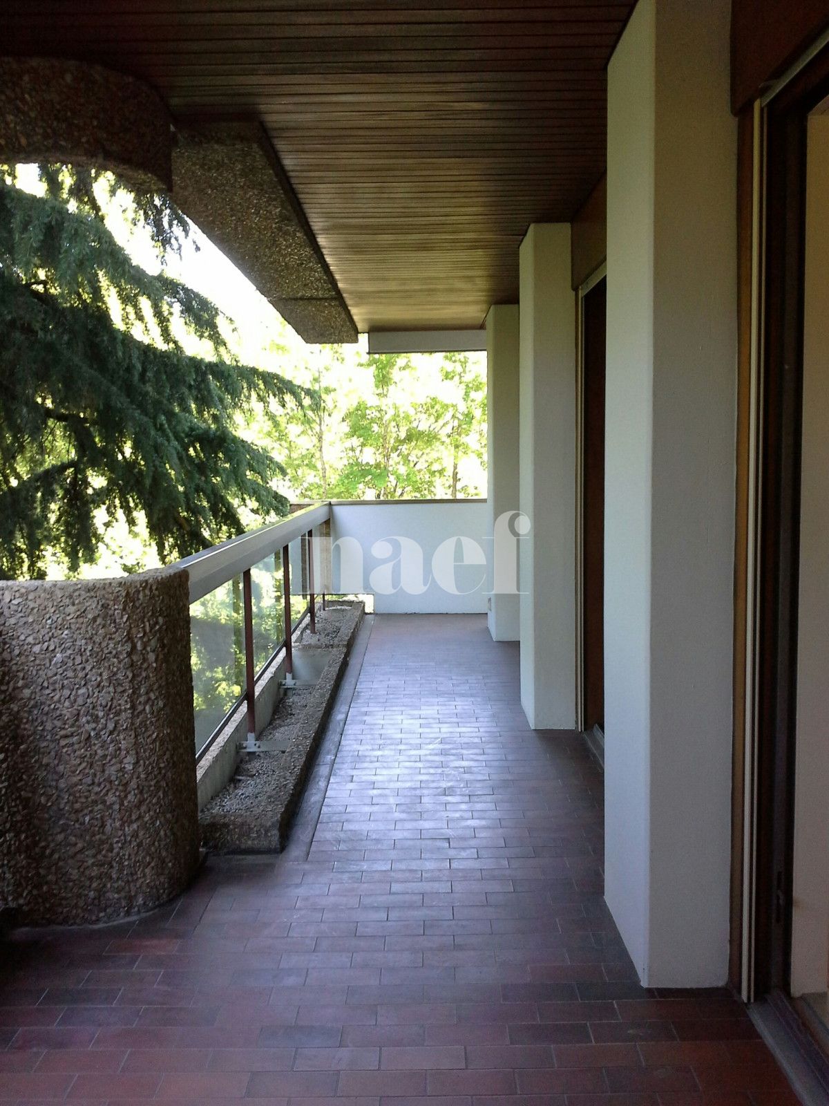 À louer : Appartement 4 Pieces Cologny - Ref : 259200.3303 | Naef Immobilier