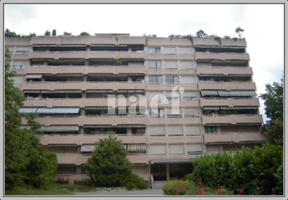 À louer : Appartement 6.5 Pieces Genève - Ref : 259311.1011 | Naef Immobilier