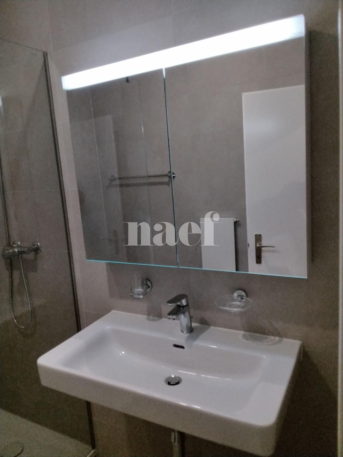 À louer : Appartement 4 Pieces Genève - Ref : 259340.5051 | Naef Immobilier