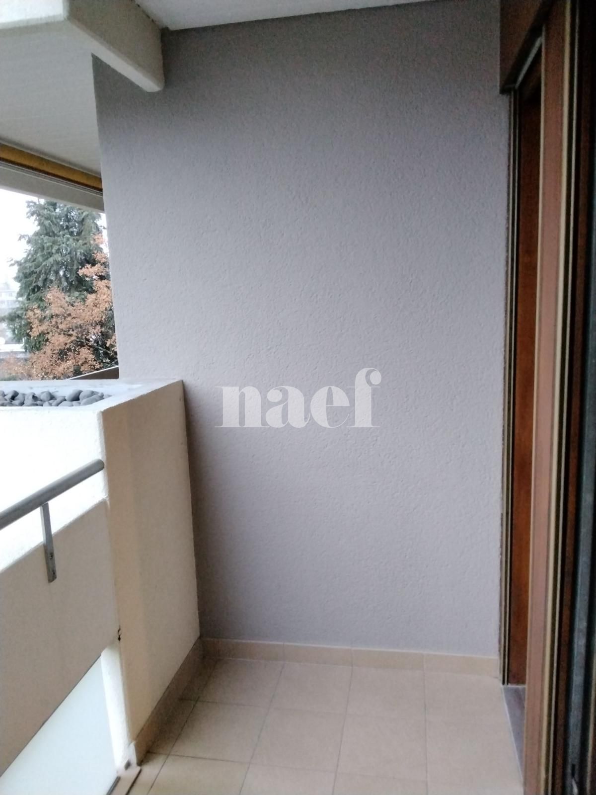 À louer : Appartement 4 Pieces Genève - Ref : 259340.5051 | Naef Immobilier