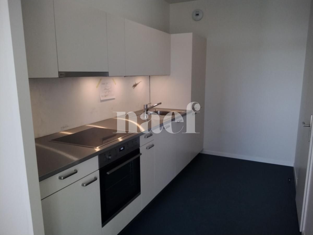 À louer : Appartement 3 Pieces Le Lignon - Ref : 261022.6001 | Naef Immobilier