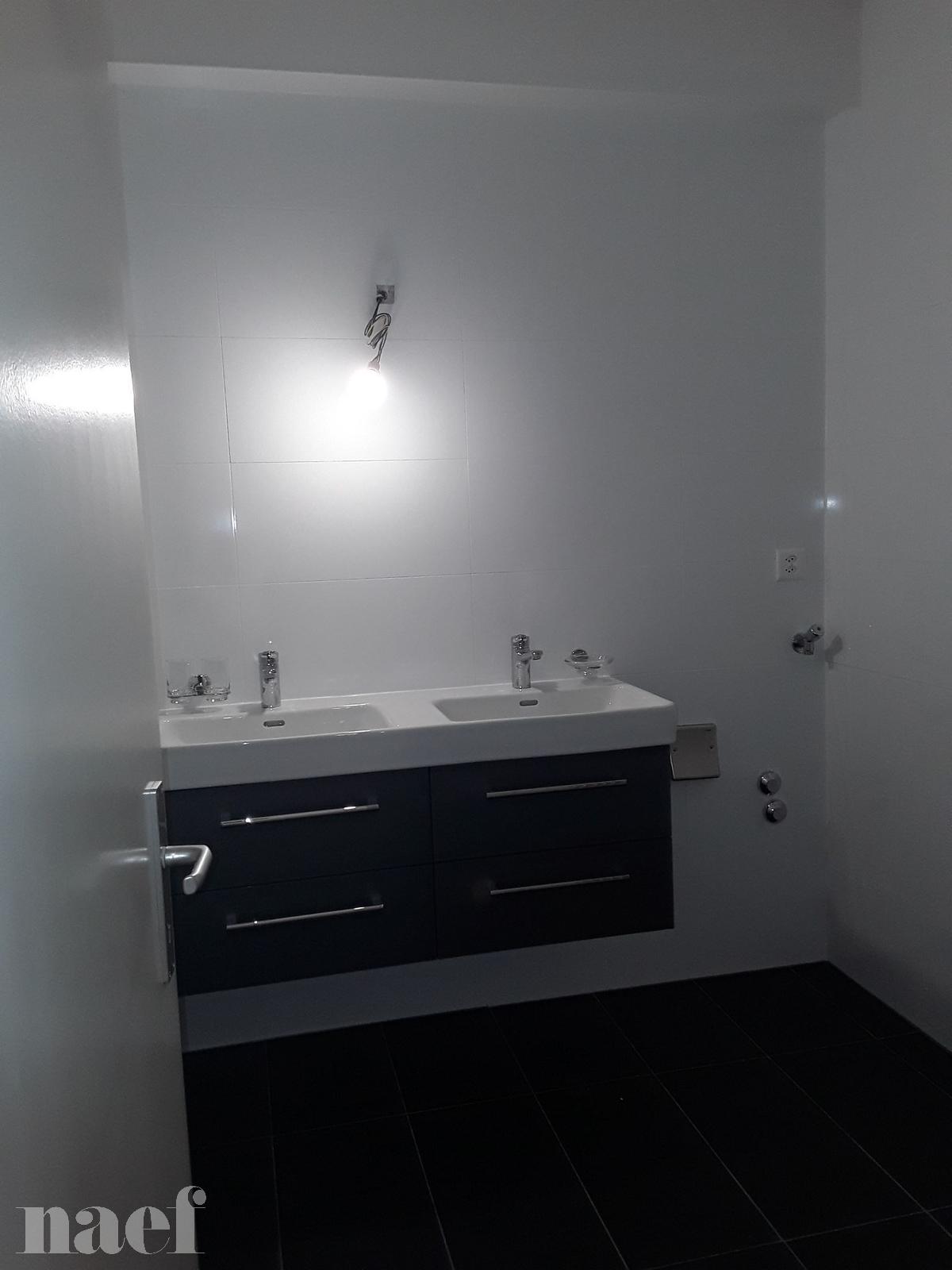 À louer : Appartement 4 Pieces Le Lignon - Ref : 261026.16001 | Naef Immobilier