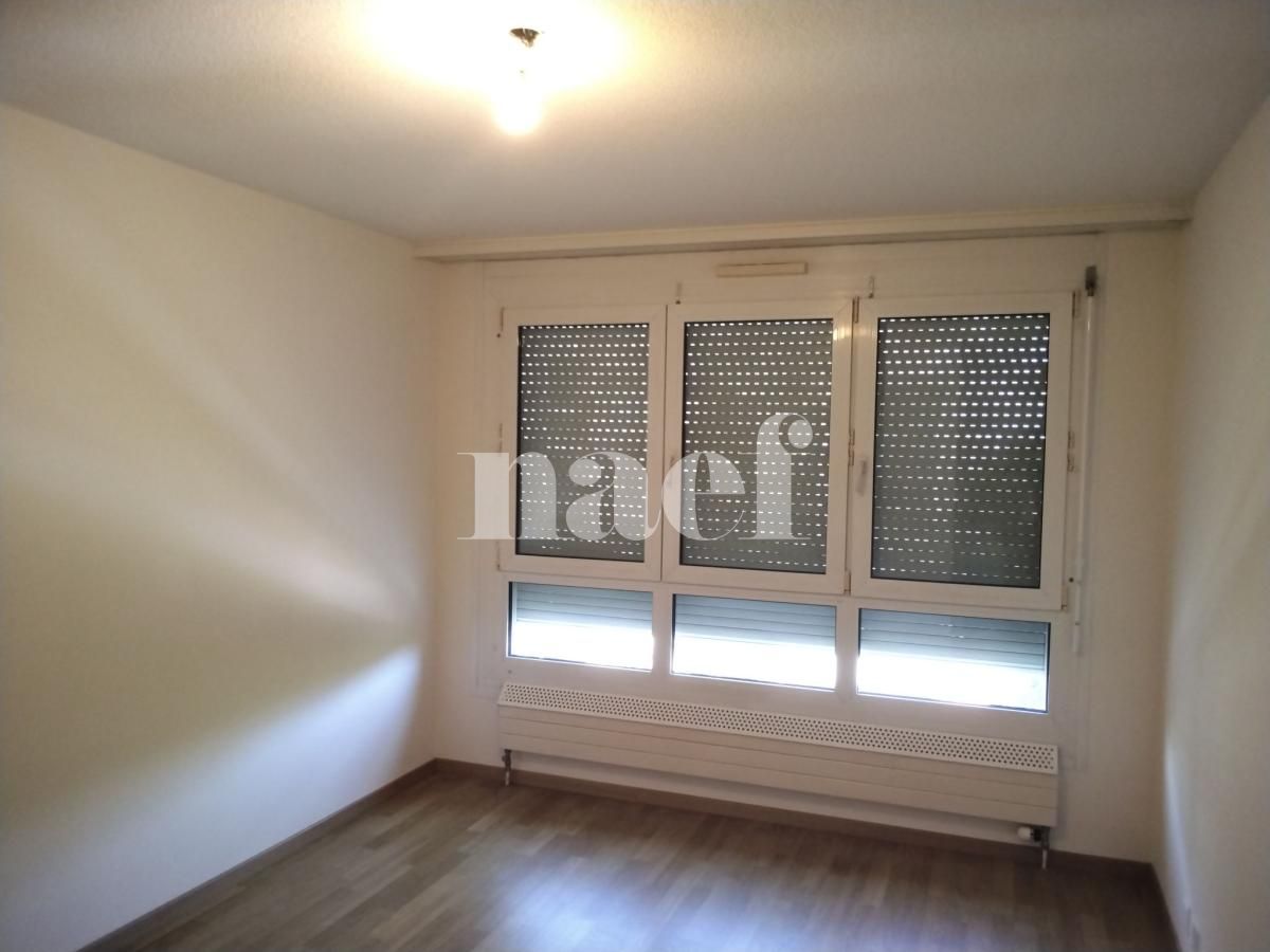 À louer : Appartement 5 Pieces Genève - Ref : 261032.5002 | Naef Immobilier
