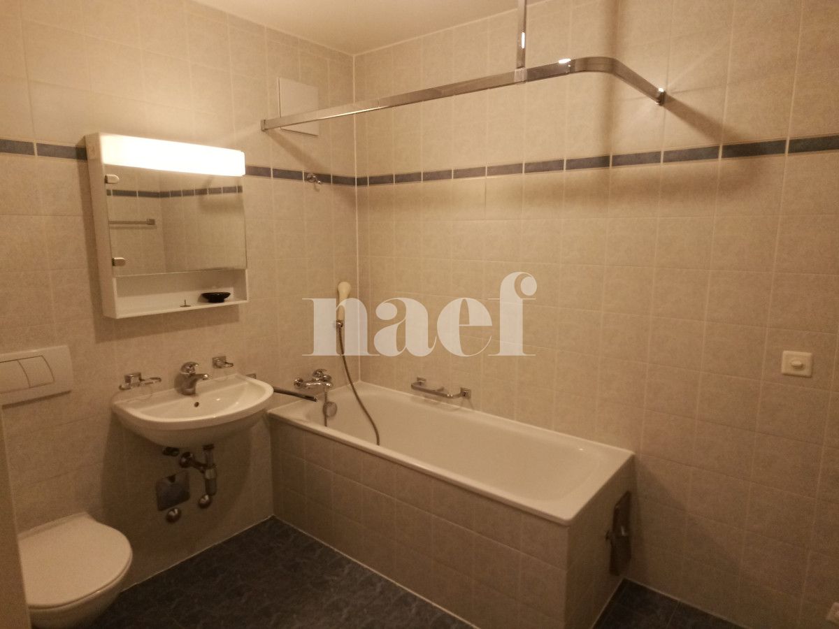 À louer : Appartement 6 Pieces Genève - Ref : 261036.6001 | Naef Immobilier