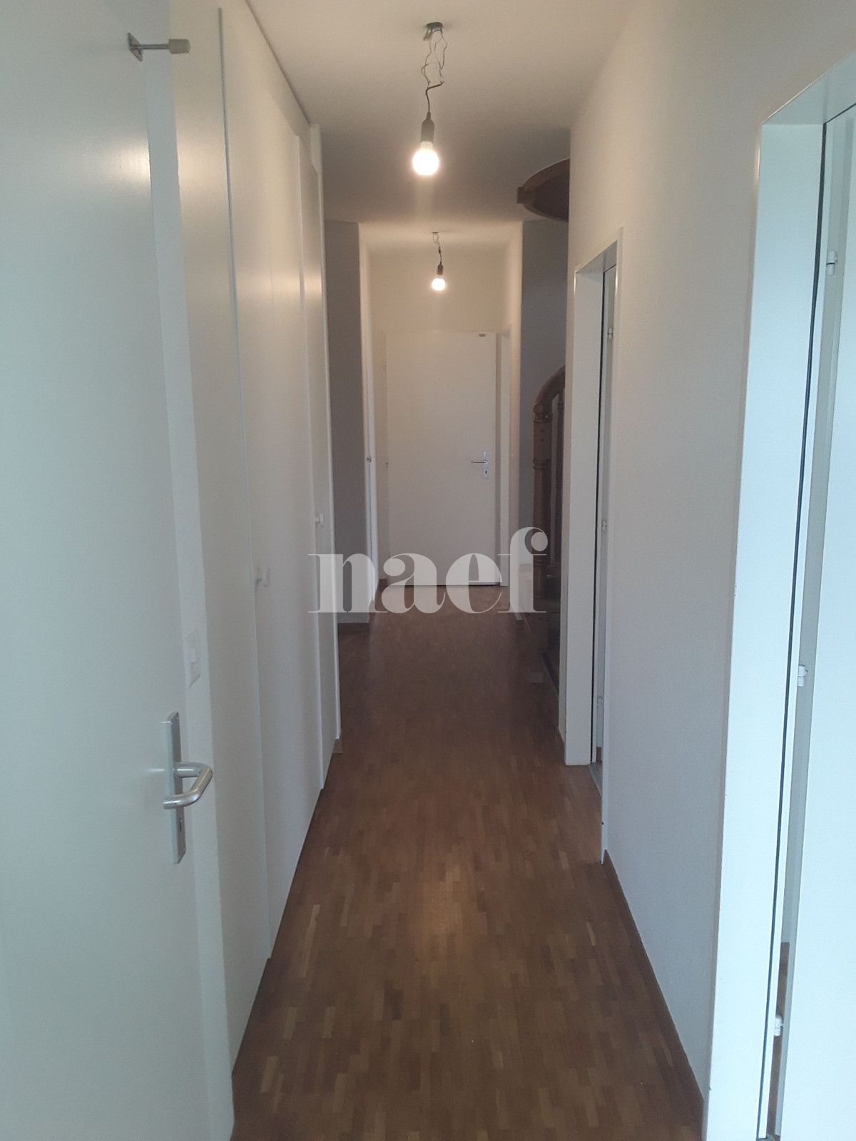 À louer : Appartement 6 Pieces Genève - Ref : 261036.6001 | Naef Immobilier