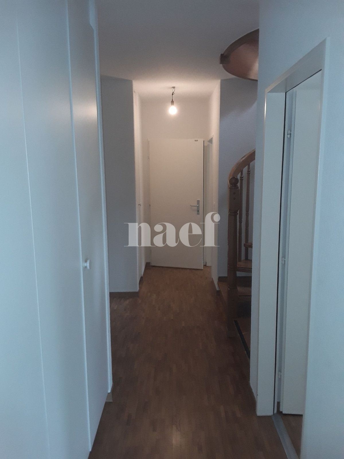 À louer : Appartement 6 Pieces Genève - Ref : 261036.6001 | Naef Immobilier