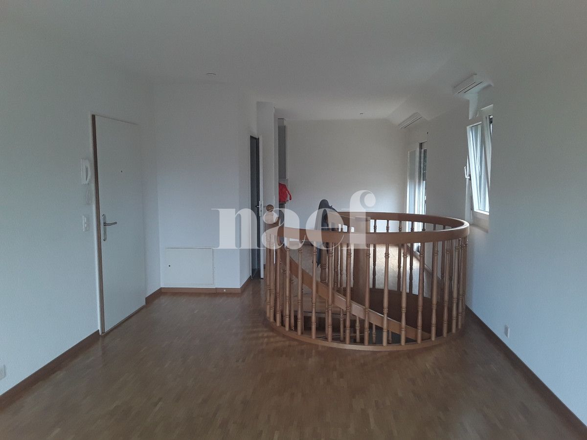 À louer : Appartement 6 Pieces Genève - Ref : 261036.6001 | Naef Immobilier