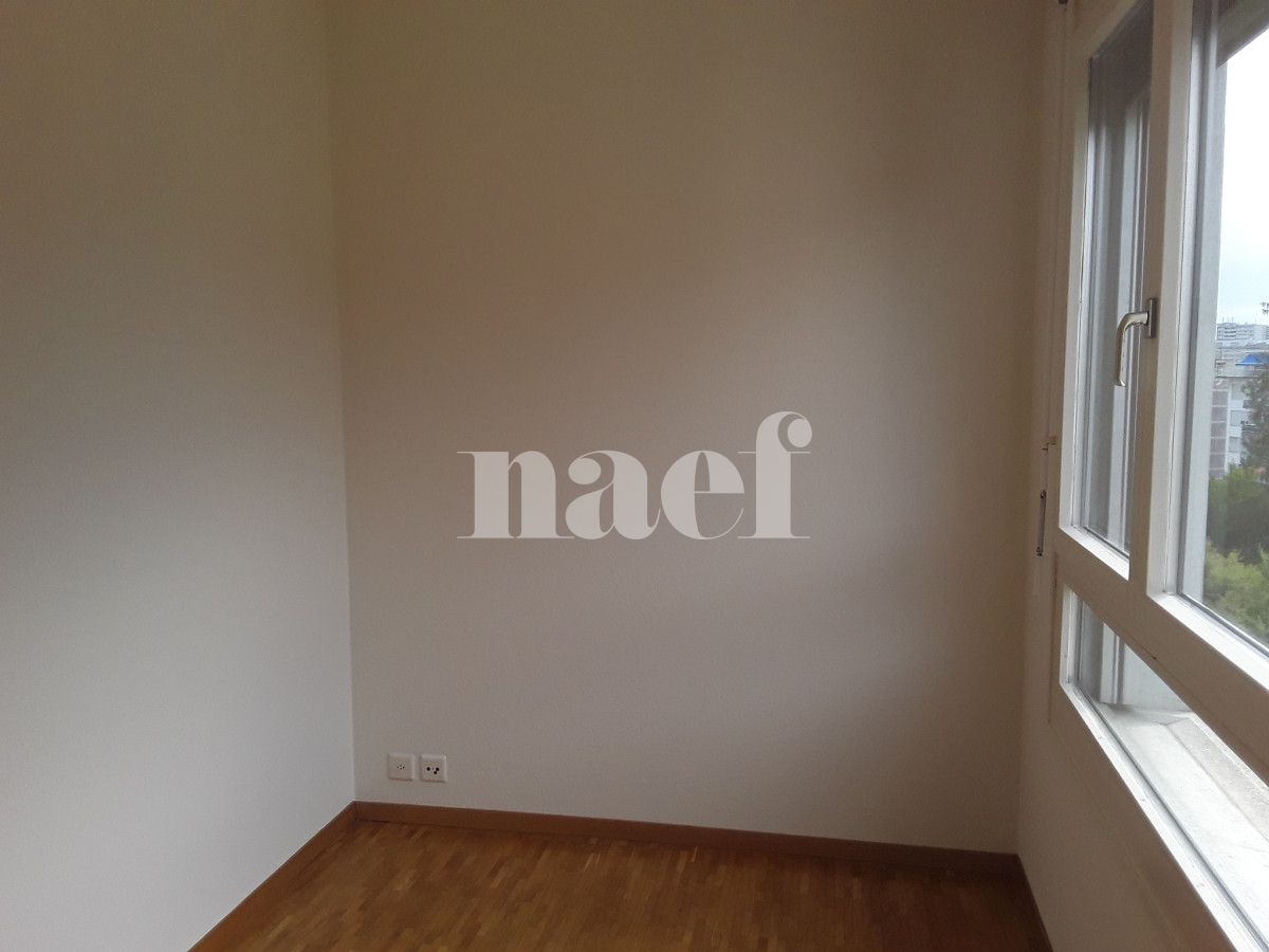 À louer : Appartement 6 Pieces Genève - Ref : 261036.6001 | Naef Immobilier