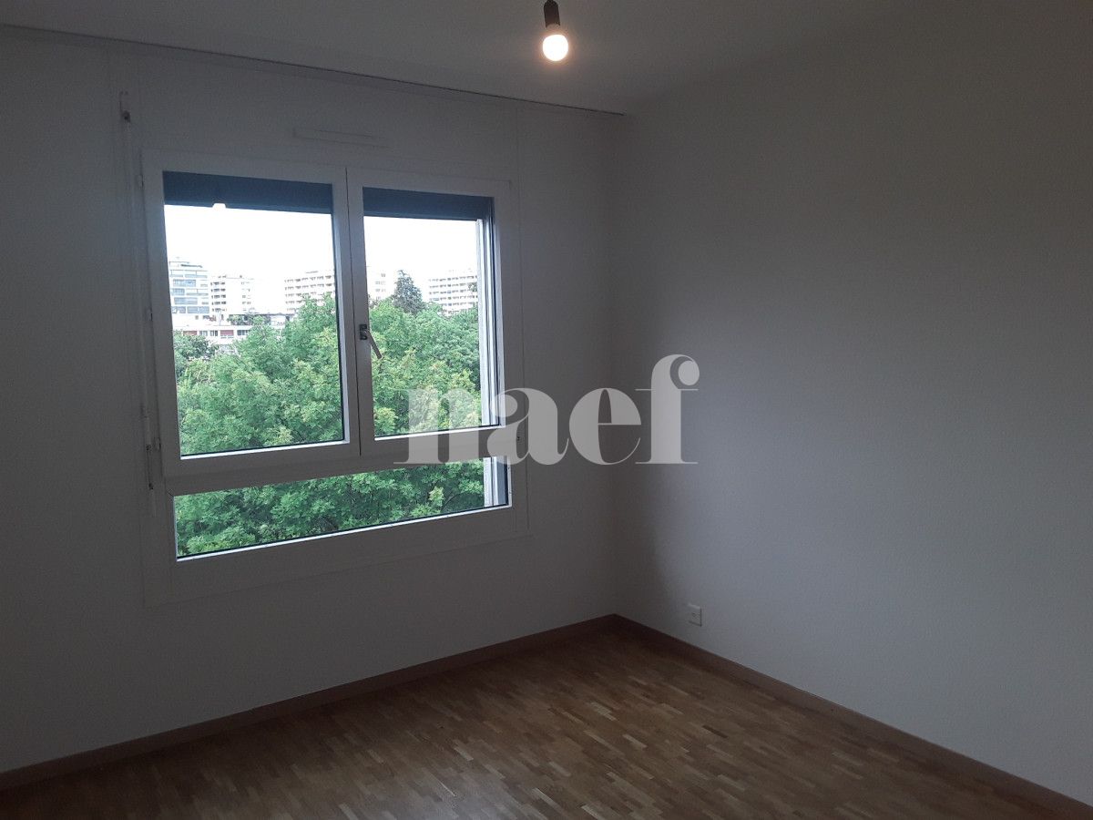 À louer : Appartement 6 Pieces Genève - Ref : 261036.6001 | Naef Immobilier