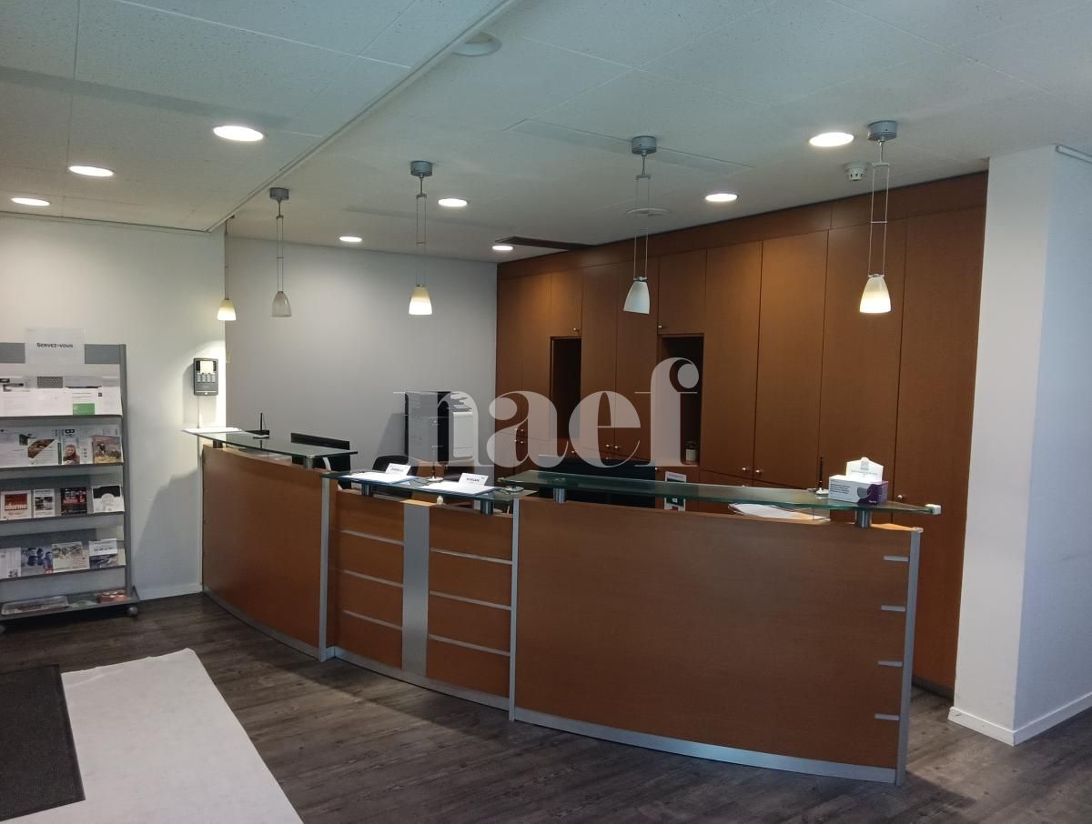 À louer : Surface Commerciale Bureau Genève - Ref : 261039.3001 | Naef Immobilier