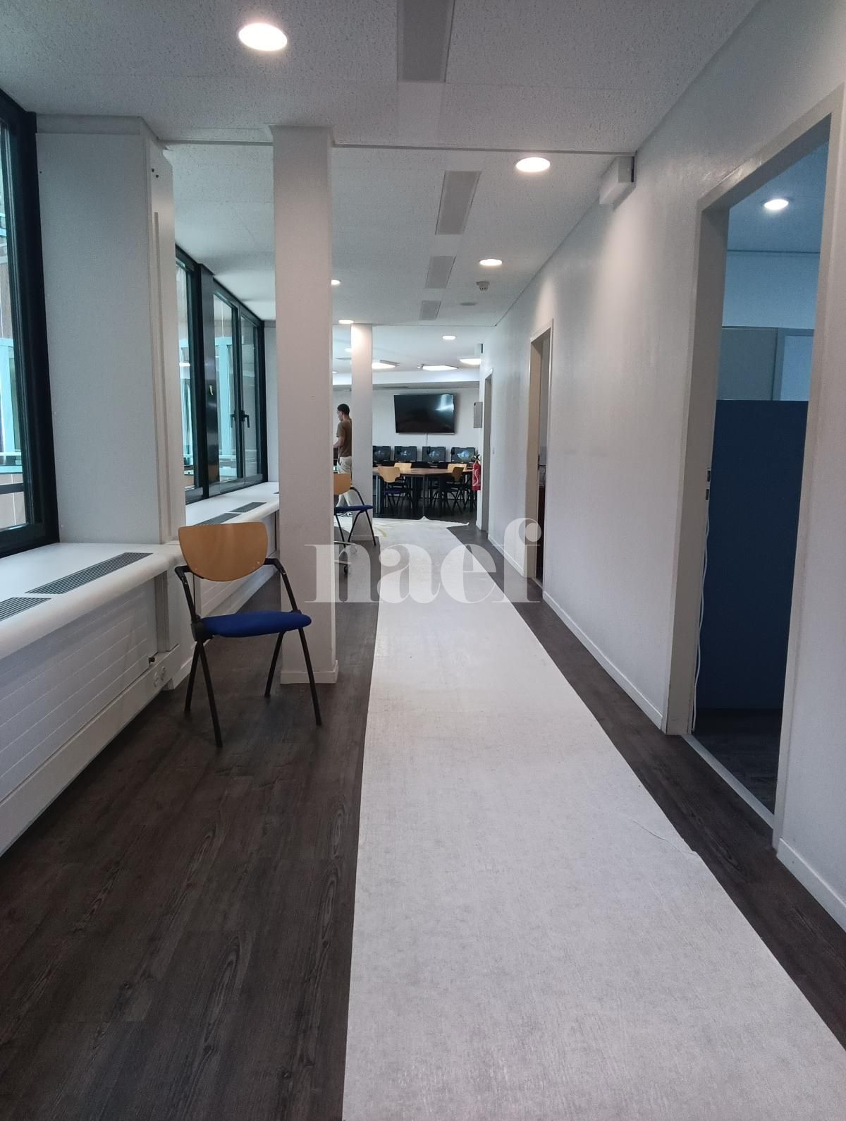 À louer : Surface Commerciale Bureau Genève - Ref : 261039.3001 | Naef Immobilier