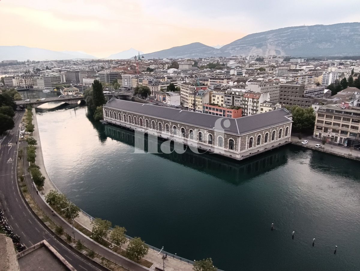 À louer : Appartement 6 Pieces Genève - Ref : 261041.13003 | Naef Immobilier