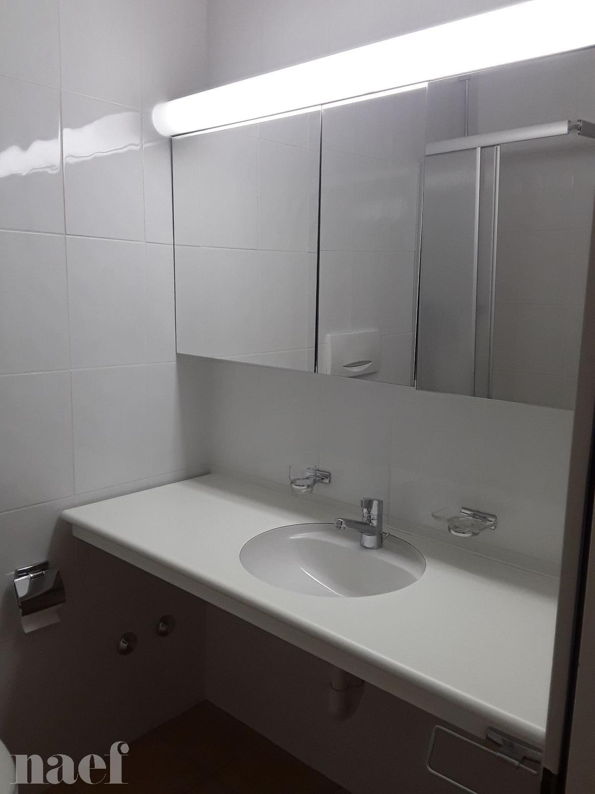 À louer : Appartement 6 Pieces Genève - Ref : 261042.14001 | Naef Immobilier