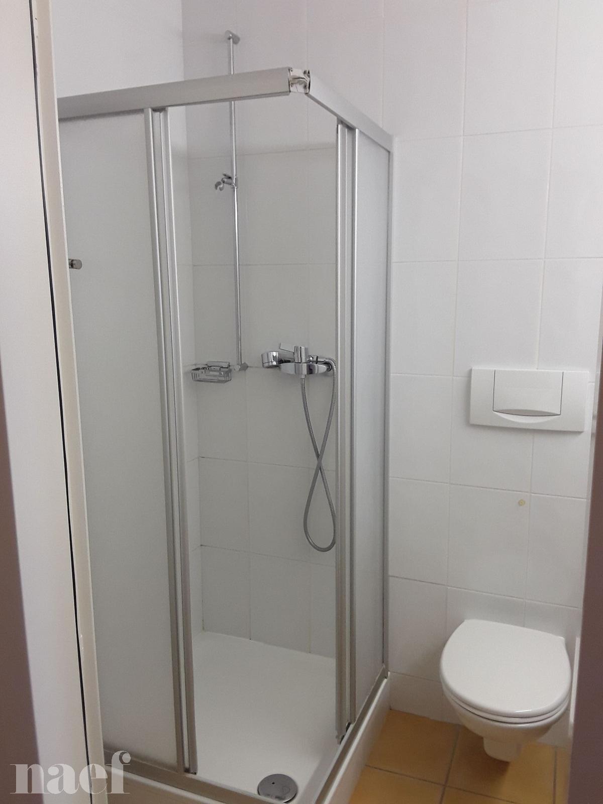 À louer : Appartement 6 Pieces Genève - Ref : 261042.14001 | Naef Immobilier
