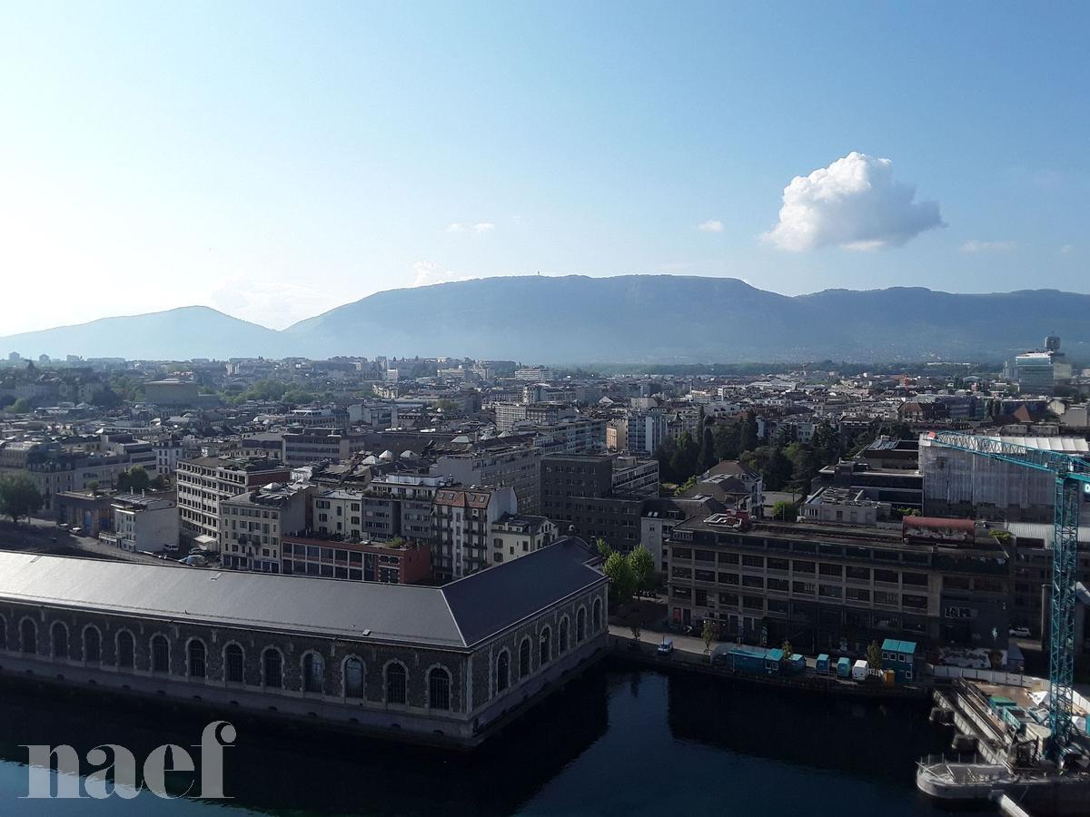 À louer : Appartement 6 Pieces Genève - Ref : 261042.14001 | Naef Immobilier