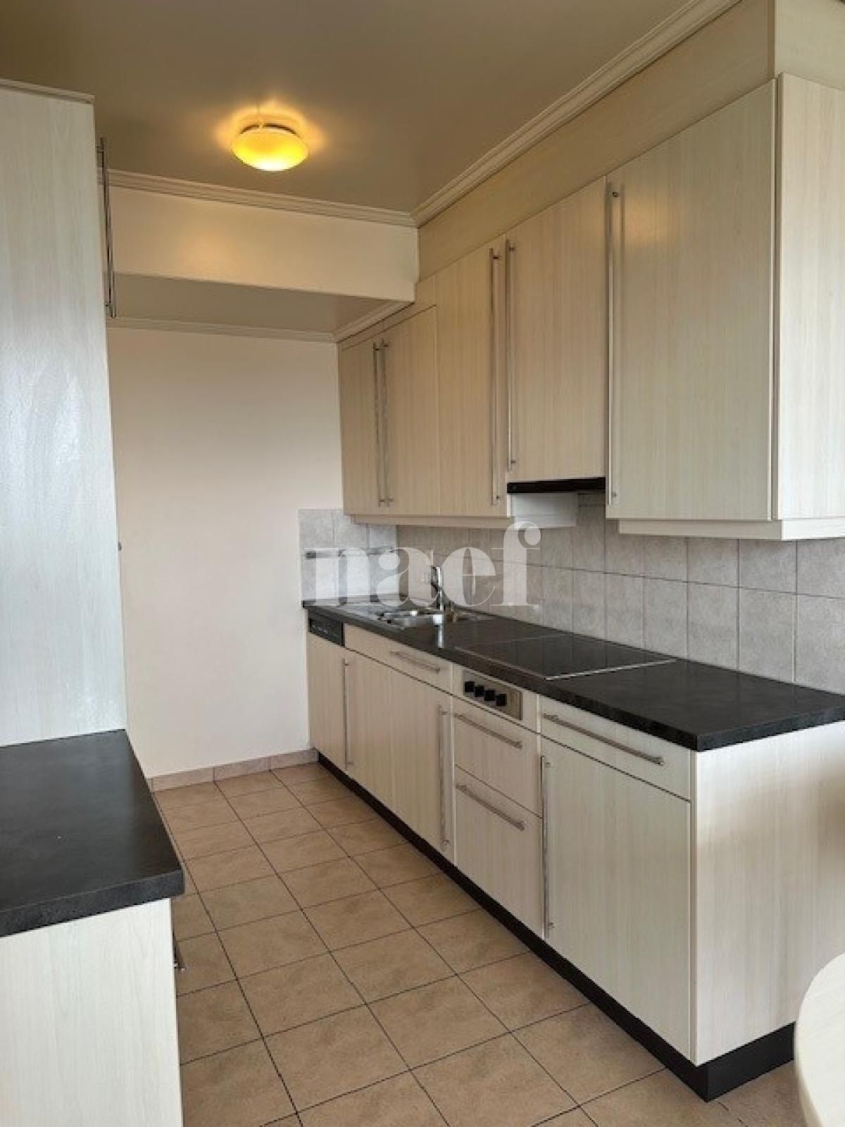 À louer : Appartement 6 Pieces Genève - Ref : 261042.14001 | Naef Immobilier