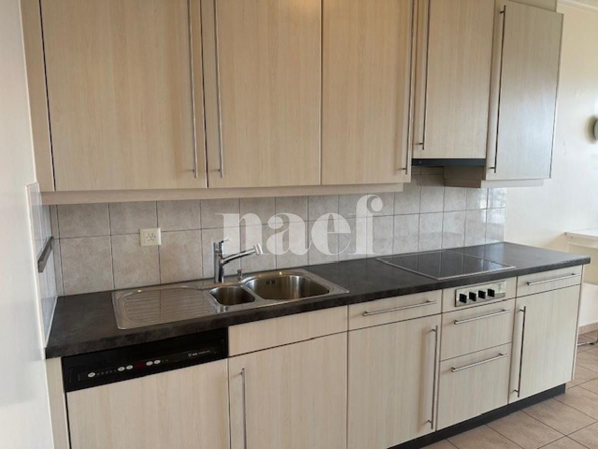 À louer : Appartement 6 Pieces Genève - Ref : 261042.14001 | Naef Immobilier