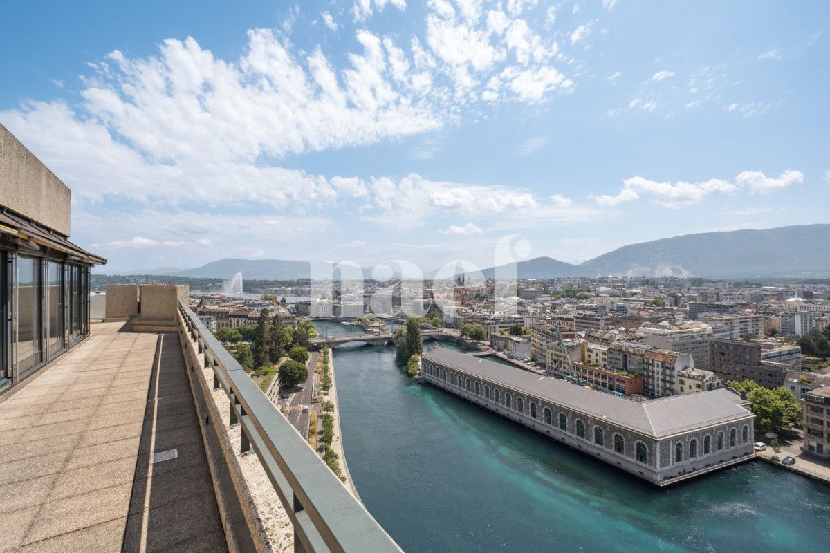 À louer : Appartement 6 Pieces Genève - Ref : 261042.16001 | Naef Immobilier