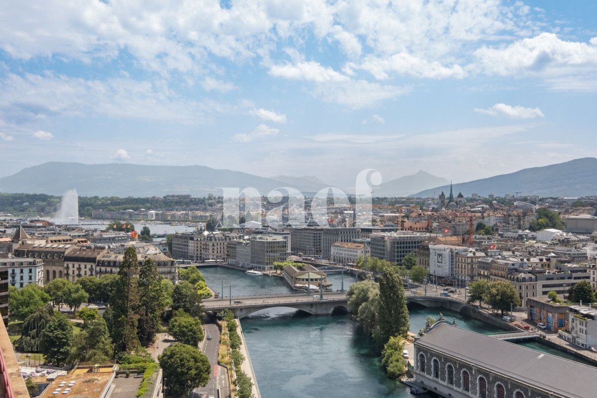 À louer : Appartement 6 Pieces Genève - Ref : 261042.16001 | Naef Immobilier