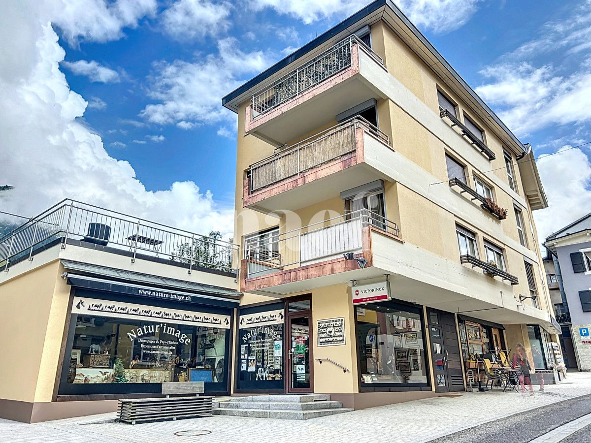 À louer : Appartement 1 Pieces Château-d'Oex - Ref : 263605.2002 | Naef Immobilier