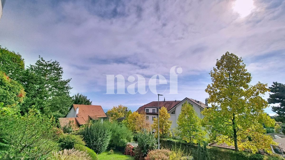 À louer : Appartement 5.5 Pieces Pully - Ref : 263815.1001 | Naef Immobilier