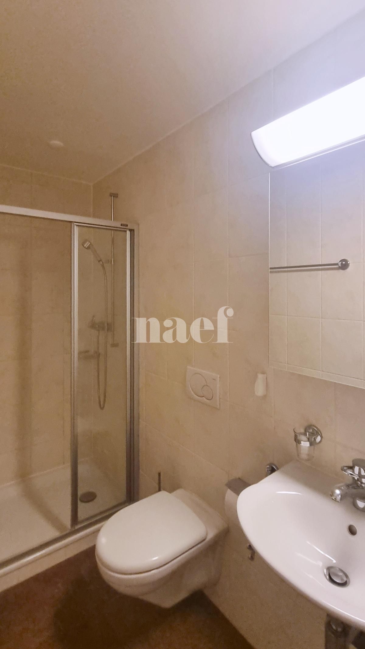 À louer : Appartement 4.5 Pieces Pully - Ref : 263840.1 | Naef Immobilier