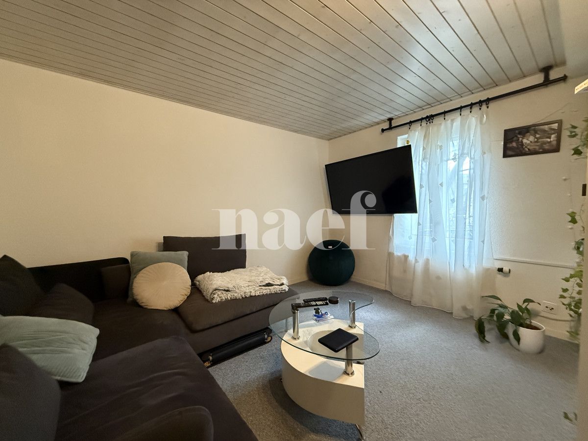 À louer : Appartement 2 Pieces Fribourg - Ref : 267002.1003 | Naef Immobilier